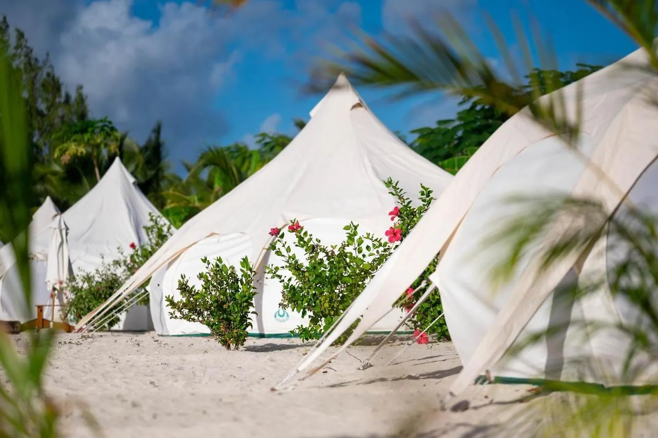 Luxuszelt Hotel Wild Lotus Antigua Bolands