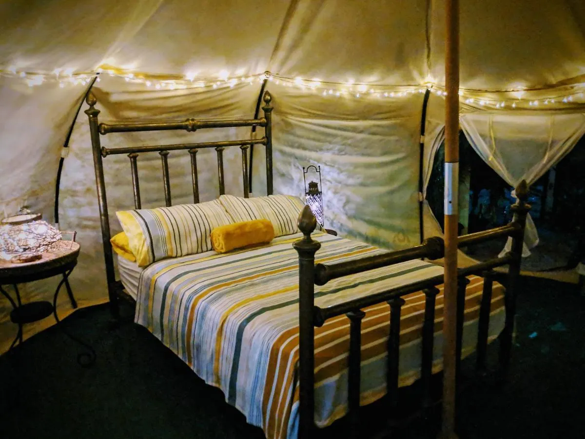 Wild Lotus Glamping Hotel Bolands
