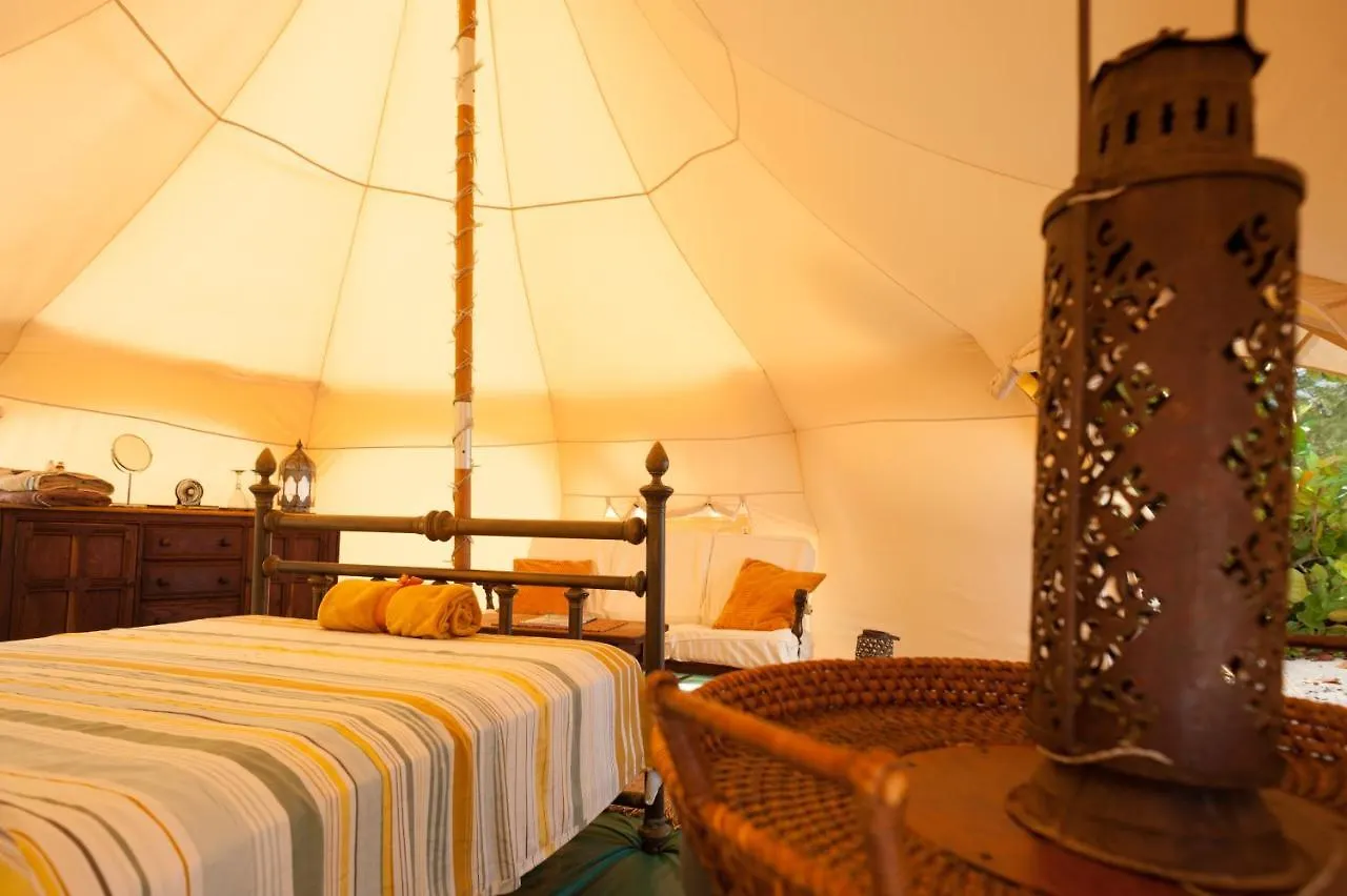 Wild Lotus Glamping Hotel Bolands