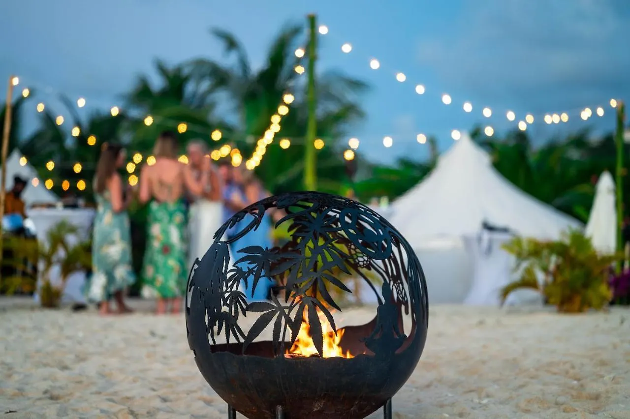 Wild Lotus Glamping Hotel Bolands Luxury tent